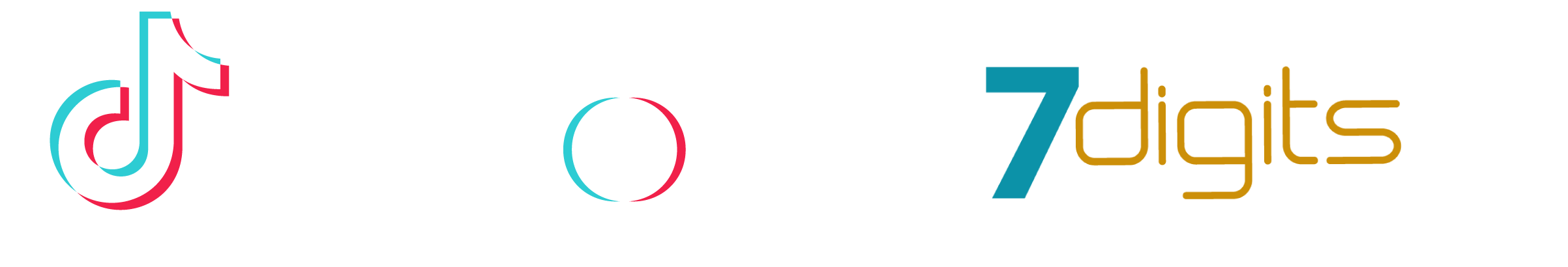 TikTok Marketing Partner